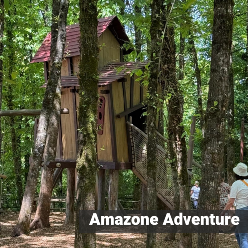 Aire-de-jeu-LePuyduFou-amazone-adventure.png