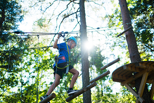 Construction of rope courses and tree top adventure park